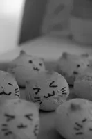 greyscale