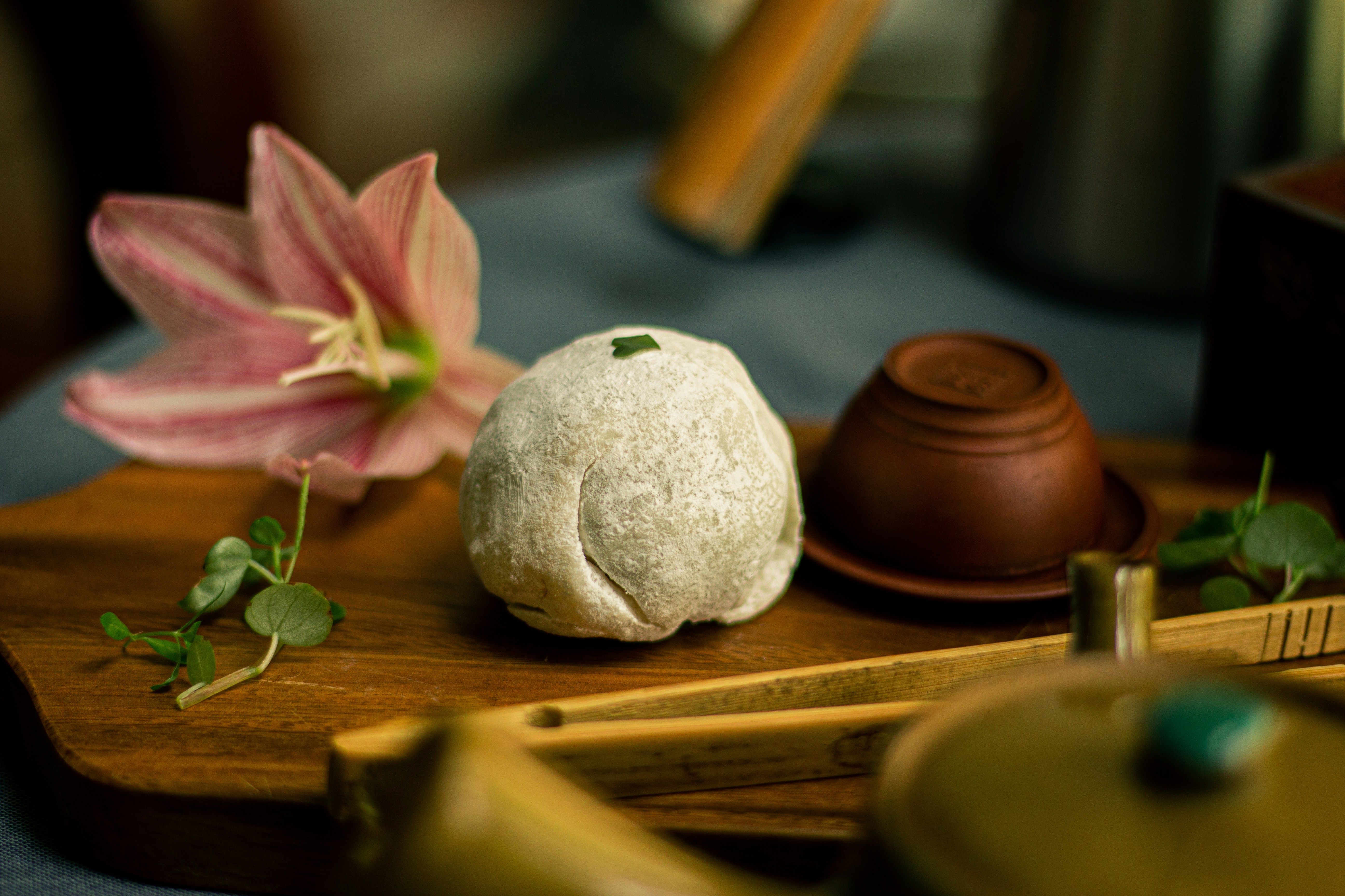 Mochi photo 1